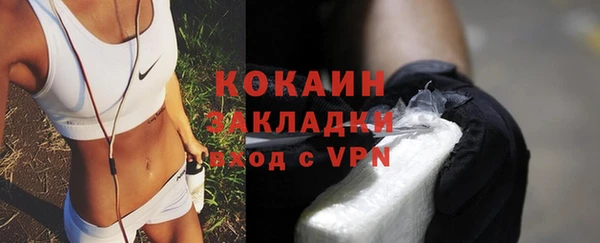 твердый Бородино