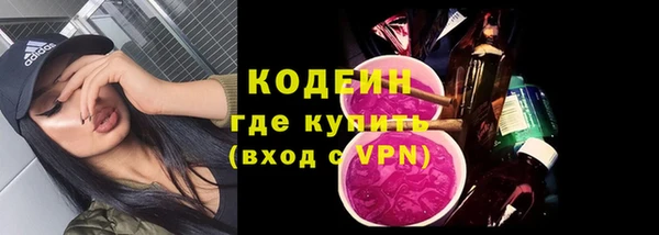 твердый Бородино