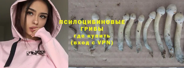 МДПВ Кодинск