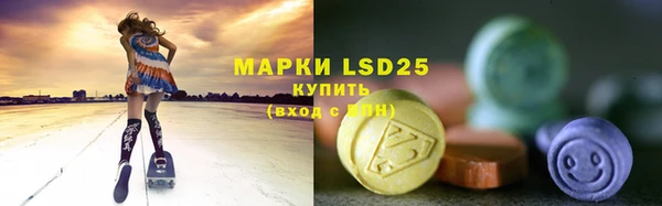 твердый Бородино