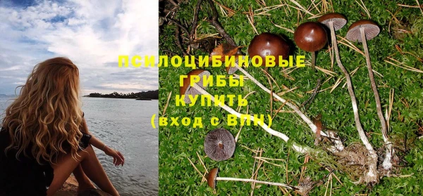 твердый Бородино