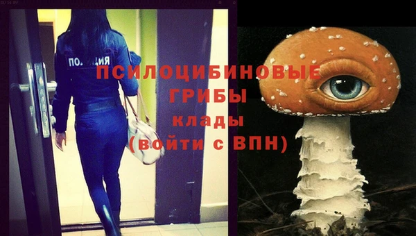 твердый Бородино