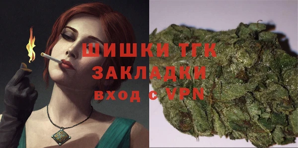 твердый Бородино
