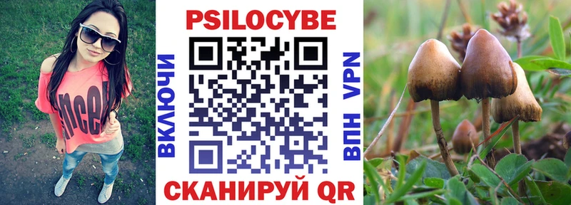 Псилоцибиновые грибы мицелий  где купить наркоту  Сретенск 